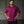 Load image into Gallery viewer, Signature Pump Cover Men