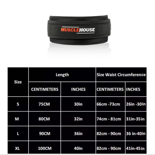 Dual Heavy Duty Lifting Belt